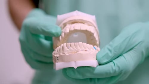 Dental Mold Held in Gloved Hands