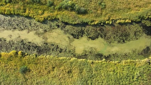 Aerial View of a Swampy River with Surrounding Vegetation Bushes in Autumn Day