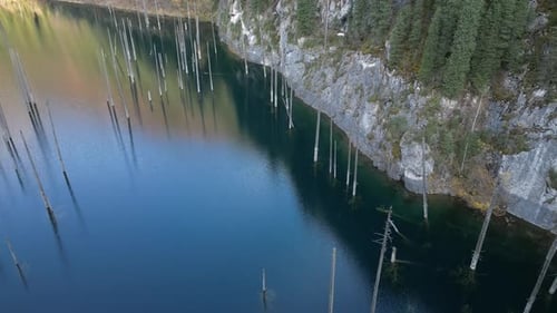 Aerial View of Serene Lake with Submerged Trees Camera Pans Across Scene