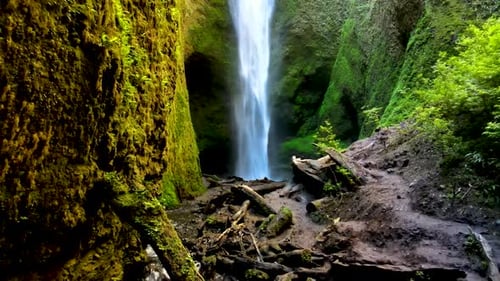Dolly out of hidden misty waterfall streaming into natural pond surrounded by green moss and dense v