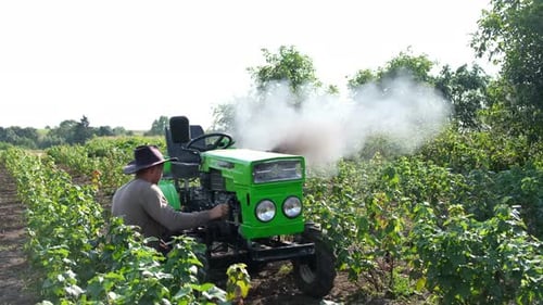 The Tractor Driver Starts the Diesel Engine in the Middle of the Field Farmer in the Field