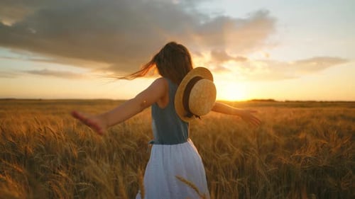 Carefree Childhood Moments Little Girl is Walking in Beautiful Gold Rye Field in Sunset in Summer