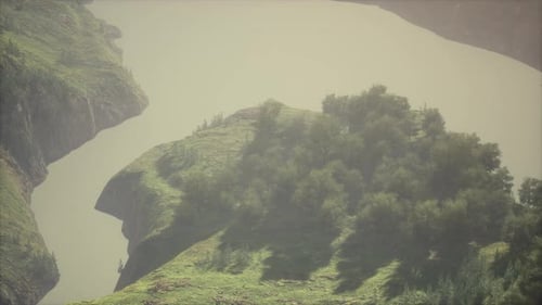 Landscape with a Mixed Forest in Spring