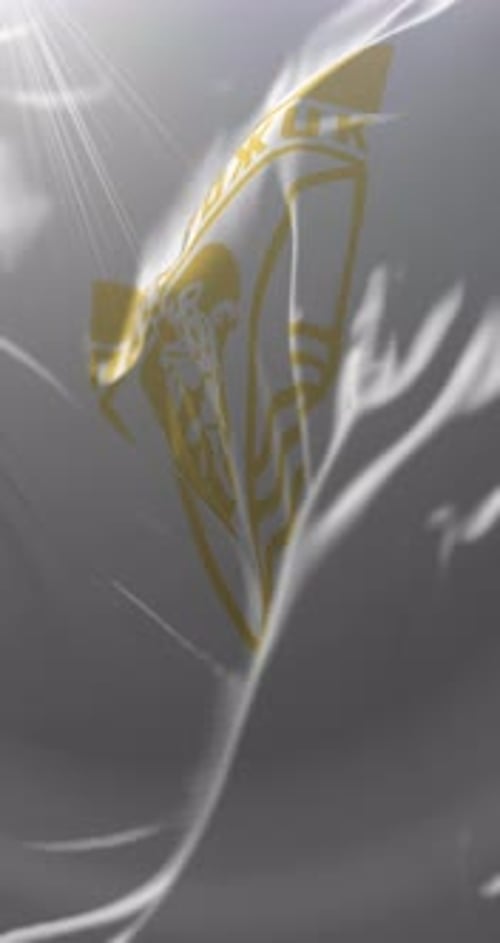 Waving Vertical Flag with Custom Emblem