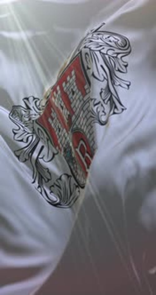 Elegant Ornate Emblem Reveal on Waving White Fabric