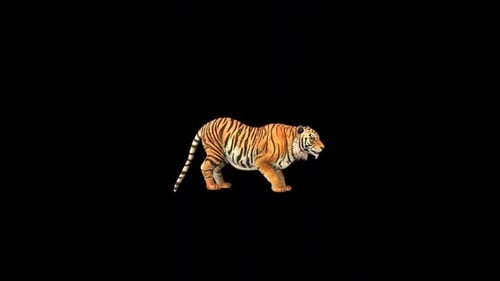 Wild Tiger Howl