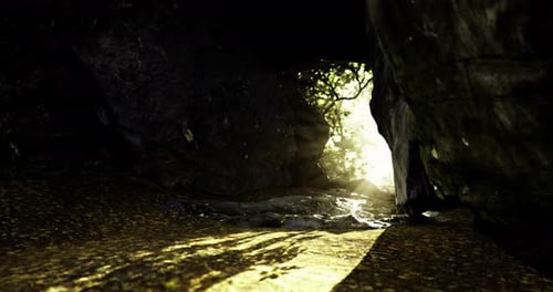 Cave Entrance with Sunlight Filtering Through Trees in a Lush Environment