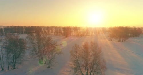 Aerial Drone View of Cold Winter Landscape with Arctic Field Trees Covered with Frost Snow and