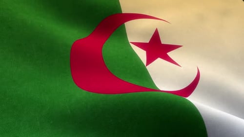 Algeria National Flag Waving Seamless Loop Background
