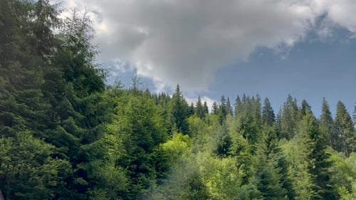 cinematic video from car of coniferous forest, mountain view, meadow and field,