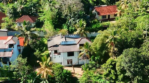 Some cottages locate in the green tropical forest. Aerial perspective on the residential area