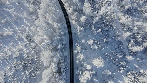 Scenic Road Through a Snowy Winter Mountain Forest