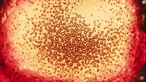 Abstract Zoom Through Organic Form