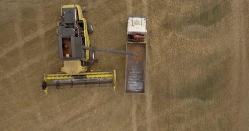Aerial view of combine harvesting crop and loading truck