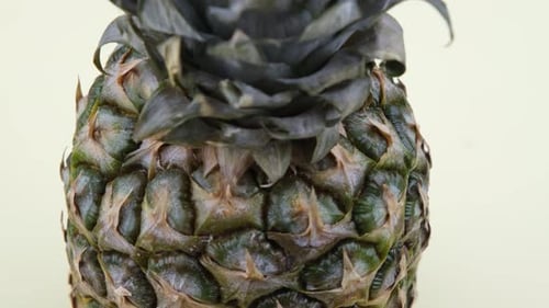 pineapple close up