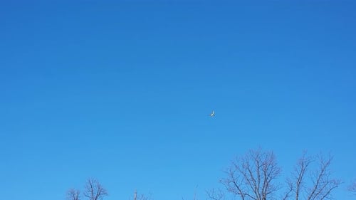 Large airliner with passengers on blue sky is landing on landing strip at airport of bright orange s