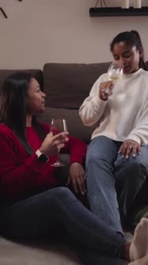 Two Women Friends Toasting With Wine Indoors
