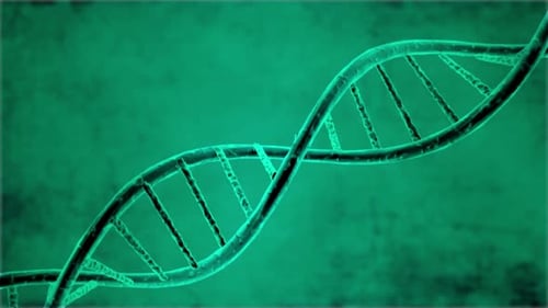 Rotating 3D DNA Double Helix Science Animation Loop