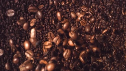 Kaffeebohnen, Superzeitlupe, von oben nach unten fallende Aufnahme. Hochgeschwindigkeitskaffeebohnen fliegen