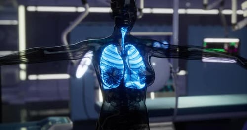 Lungs Displayed in a Futuristic Medical Environment with Digital Visualization