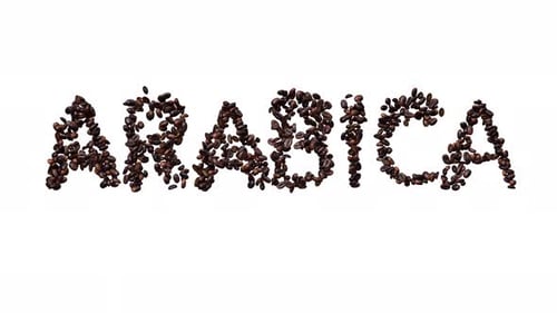 Animated Typeface Out Of Coffee Beans The Text Arabica With Alpha Channel