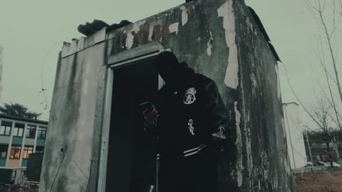 Street Criminal