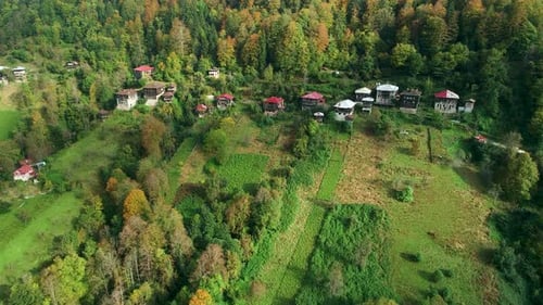 Plateau and Houses