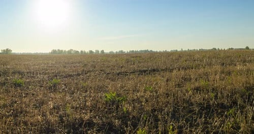 Flat Hill Meadow Timelapse at the Summer Sunset Time Wild Nature and Rural Grass Field Sun Rays and