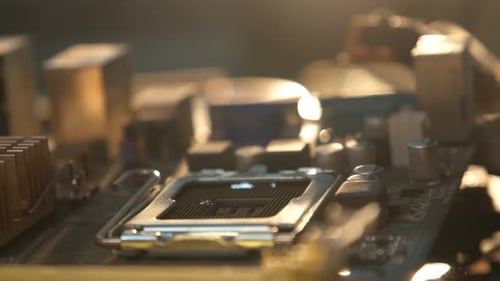 La crise des puces, le plus gros problème mondial