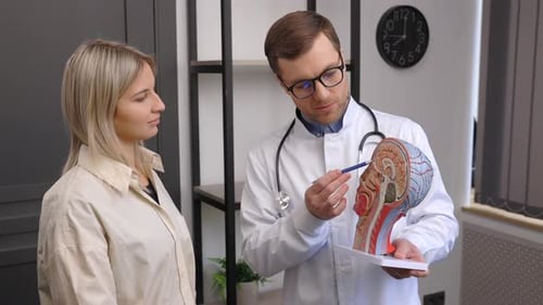 Doctor Explains Brain Anatomy to Woman in Office