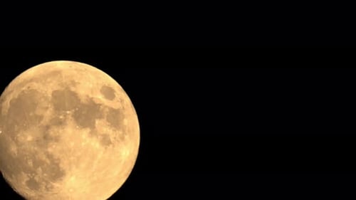 Large Harvest Full Moon Rising, Lunar Phase And Astronomical Event