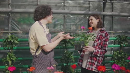 A Male Sales Consultant Gives Advice to the Buyer on Caring for Flowers A Male Plant Botanist
