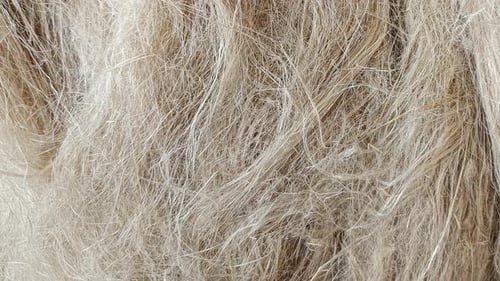 Linen Texture. Natural Fibre Textile