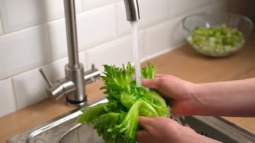 Washing Fresh Green Salad Leaves Under the Faucet in Stylish Kitchen Sink Splashes Scatter to the
