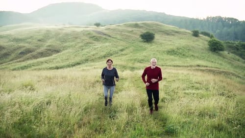 Senior Couple Running on Sunny Meadow
