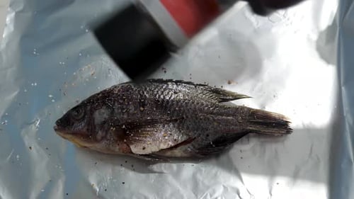 Preparing Fresh Fish with Spices and Onions