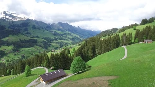 Scenic Aerial View of Rolling Green Hills