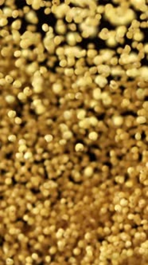 Millet Groats Fly Against a Dark Background Filmed on a Highspeed Camera at 1000 Fps