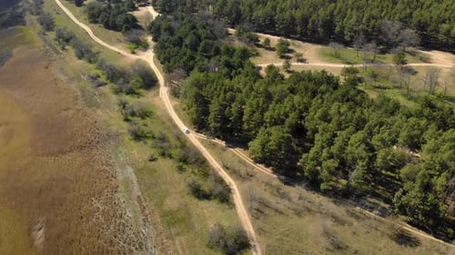 Overhead Aerial Top View Over White Car Travelling on Road in Countryside Near Green Forest with