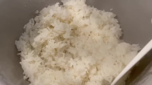 Sticky short grain white rice steaming in the rice cooker. Fluffy, delicious, and ready to eat.