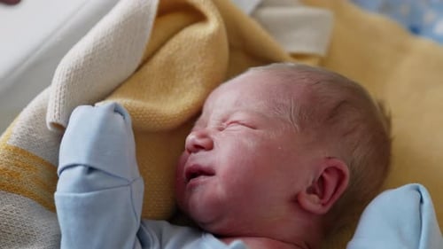 Newborn Baby Crying, Swaddled in Blanket