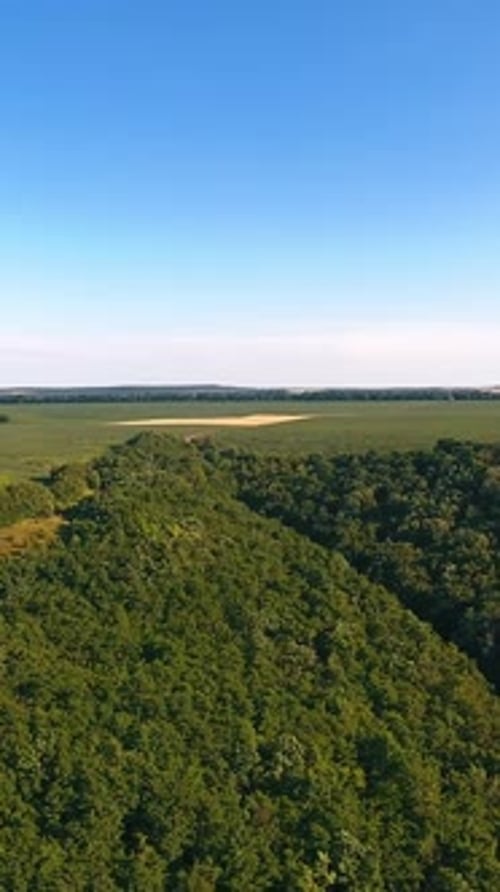 Ländliche Landschaft mit Vogelperspektive. Luftaufnahme der grünen landwirtschaftlichen Felder auf dem Land