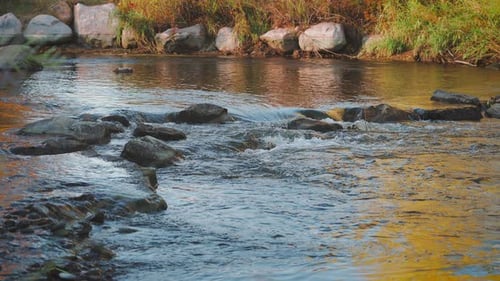 Rushing River Stream Over Rocks During Autumn In Forest. Slow Motion