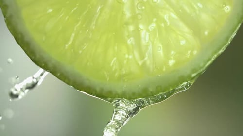 Slow Motion Macro Shot of Flowing Lime Juice From Lime Slice