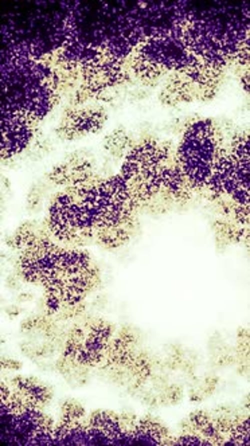 Abstract Fluid Glowing Purple Particles Background Loop