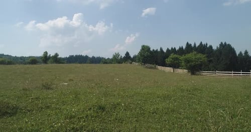 Open Grassy Field with Wooden Fence and Trees