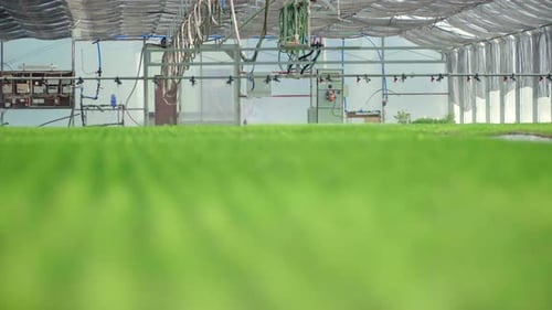 Watering equipment ready for work in greenhouse with green blurred saplings