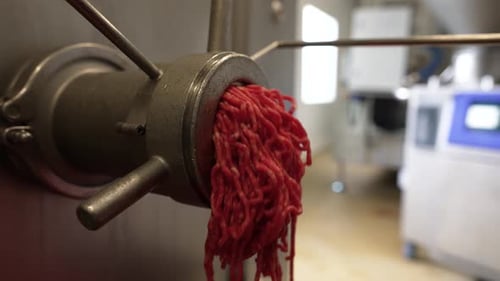 Meat grinder at a meat processing plant with beef strings falling