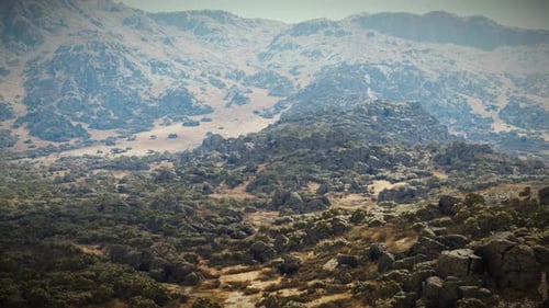 A Majestic Mountain Range with Towering Trees and Rugged Rocks