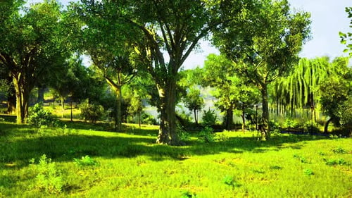 Cadre de ferme idyllique avec arbres épars et lumière du jour